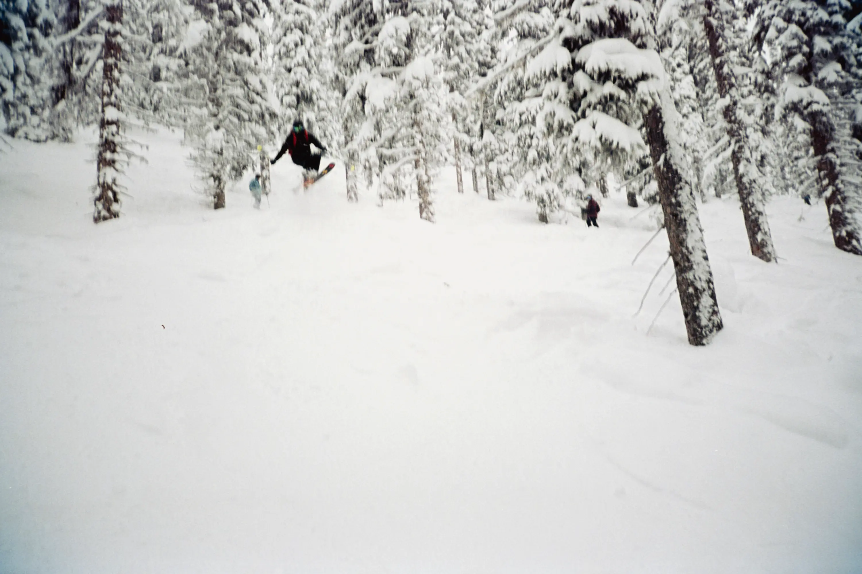 Marc hopping through the trees