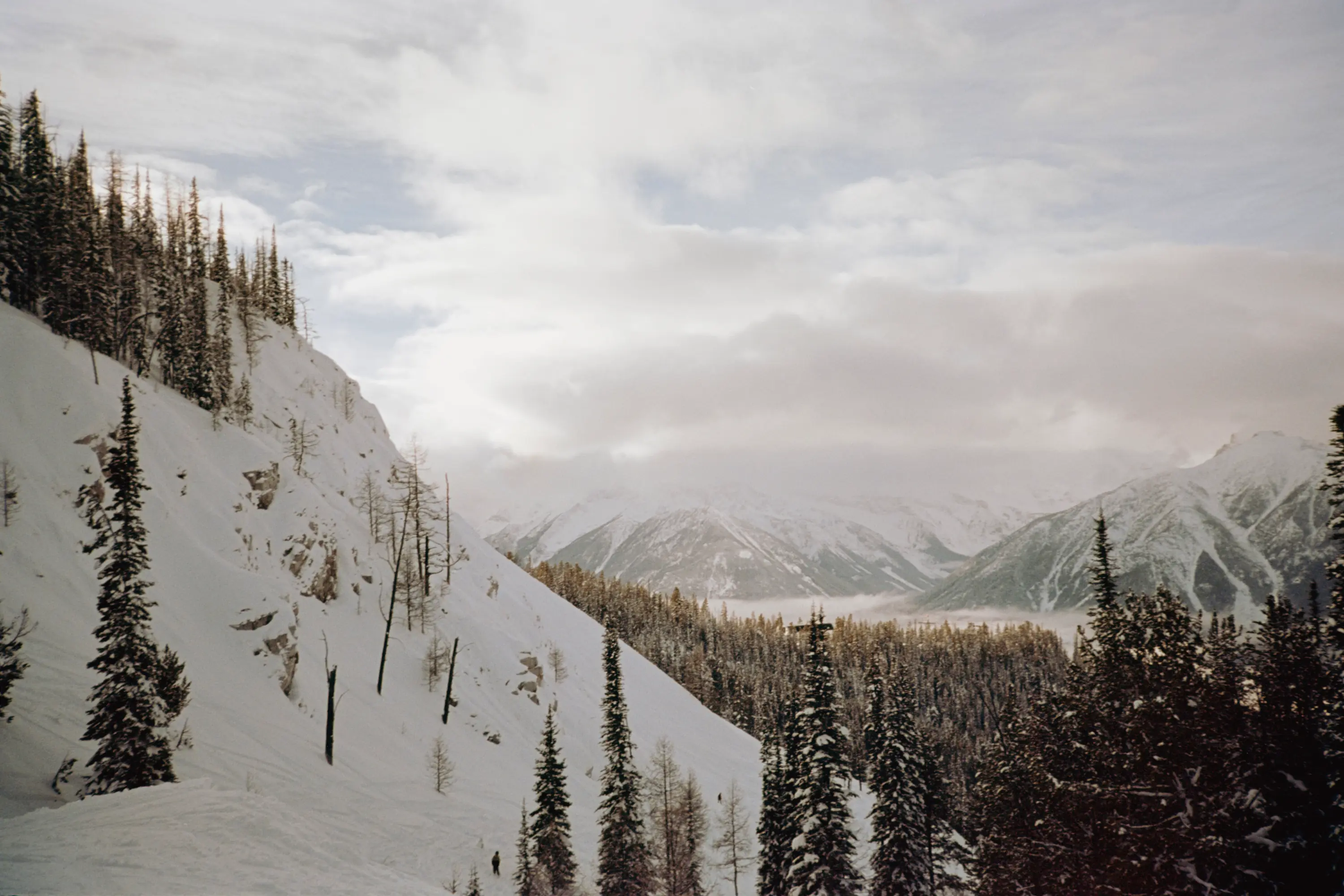 A shot of a little ski jump