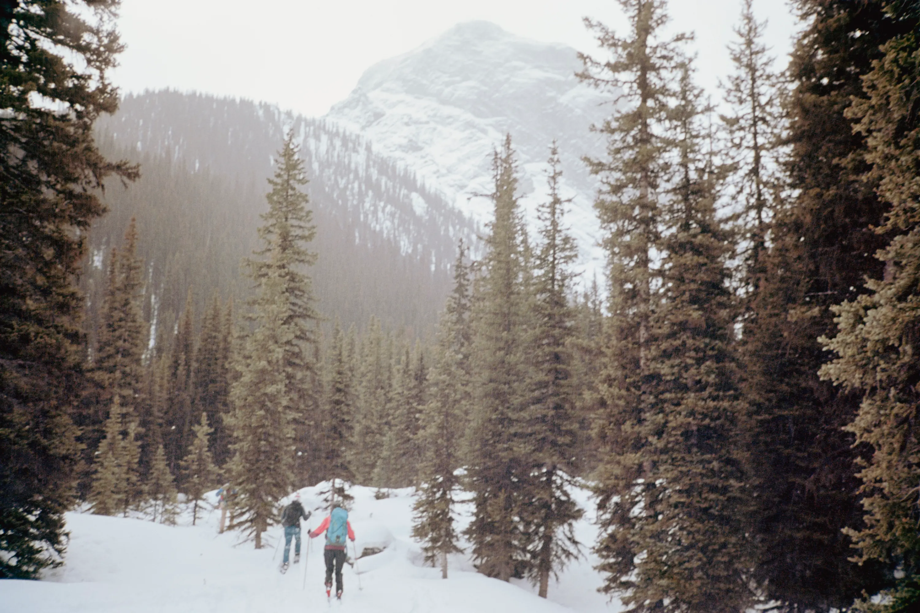 Cole and co on some mild backcountry terrain