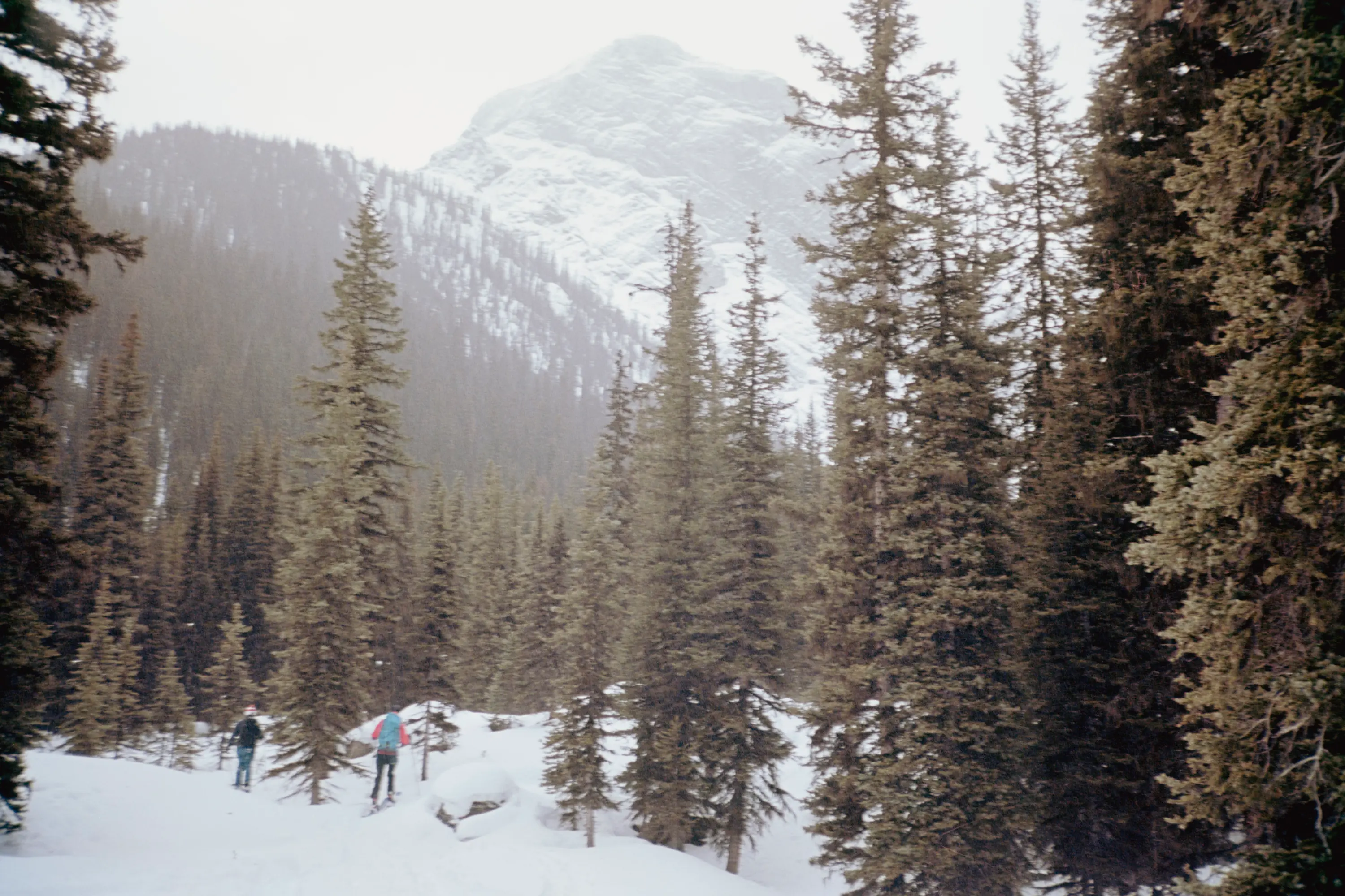 Cole and co on some mild backcountry terrain (again)