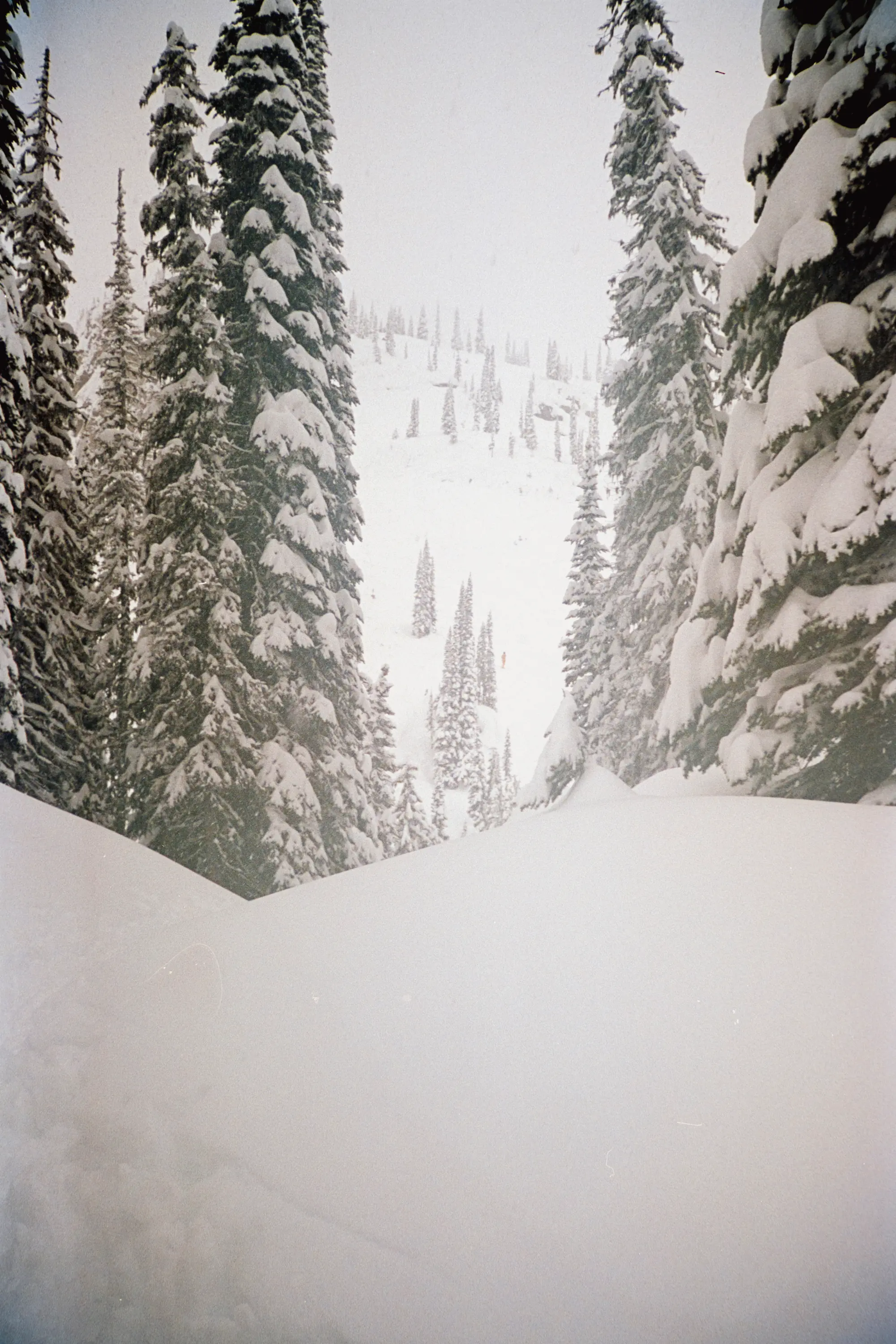 A view of Greely Bowl