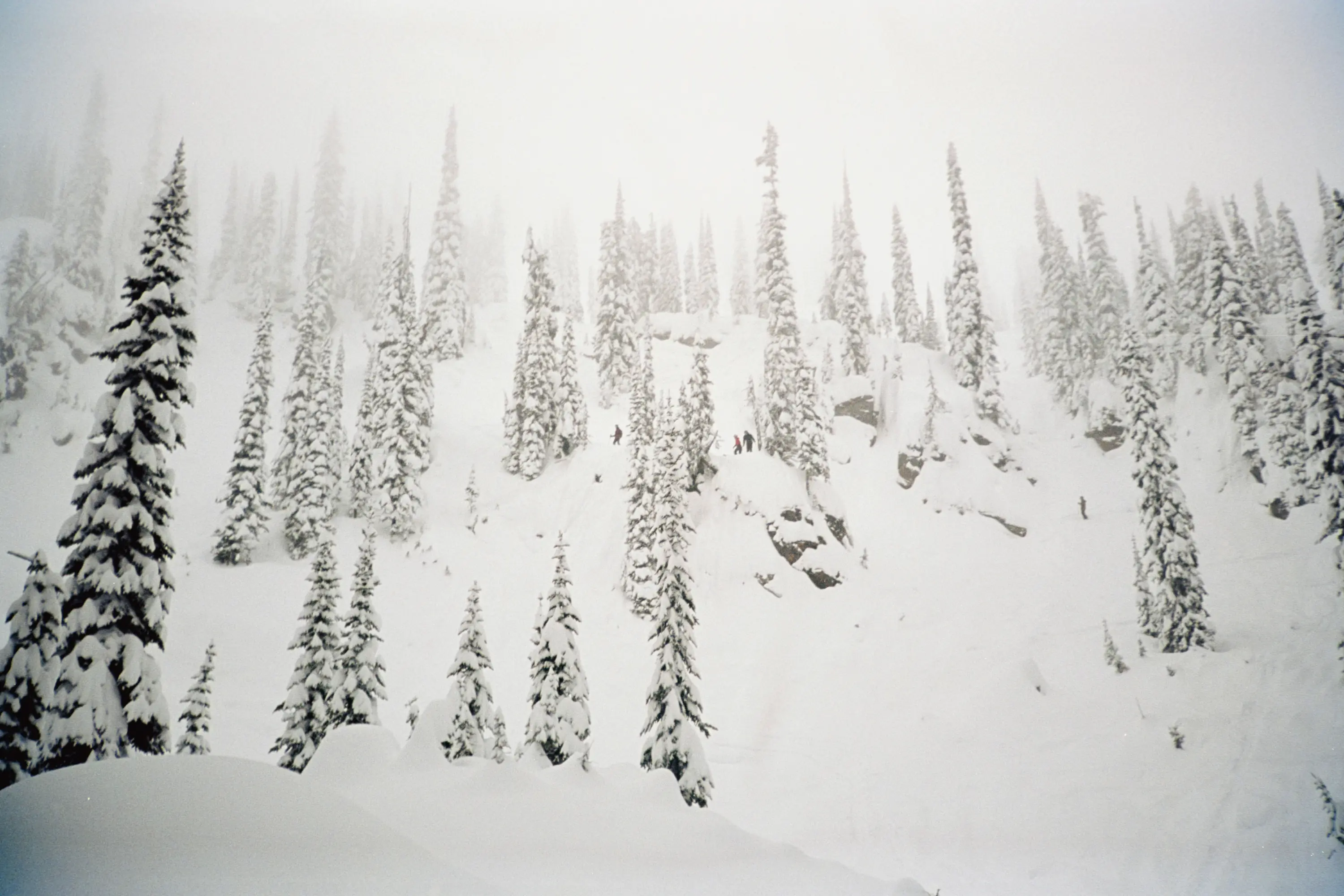 A view up into North Bowl