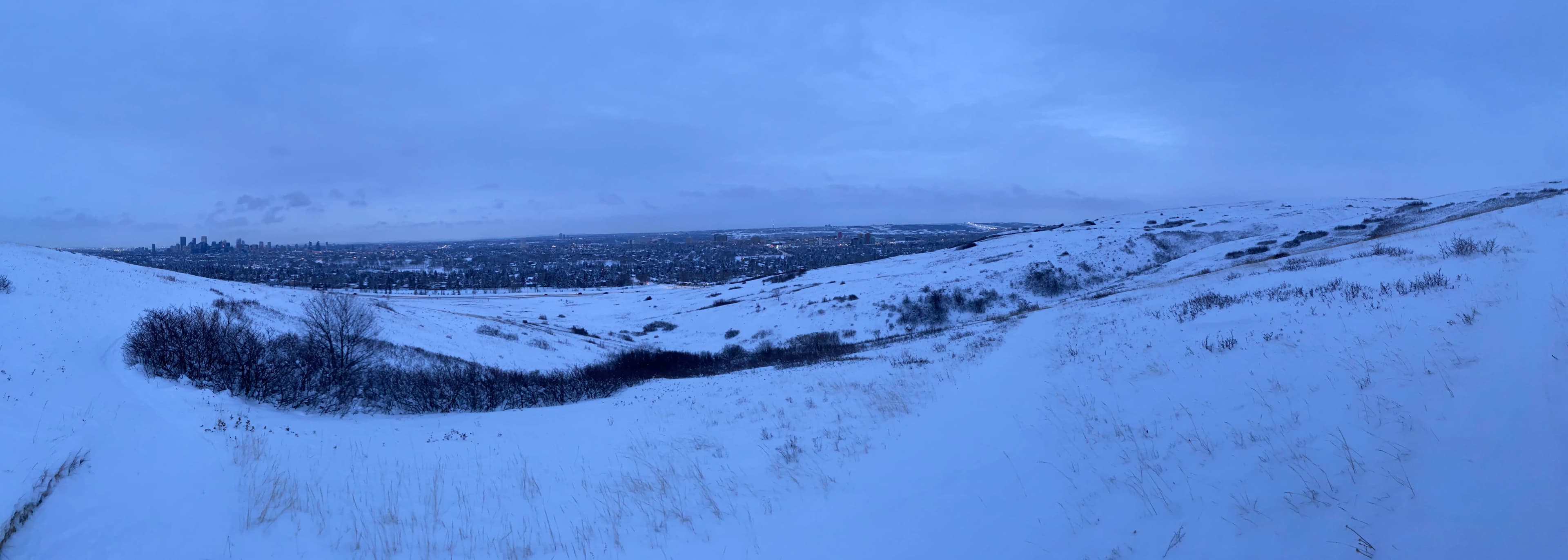 A winter panorama from the top of Nose Hill